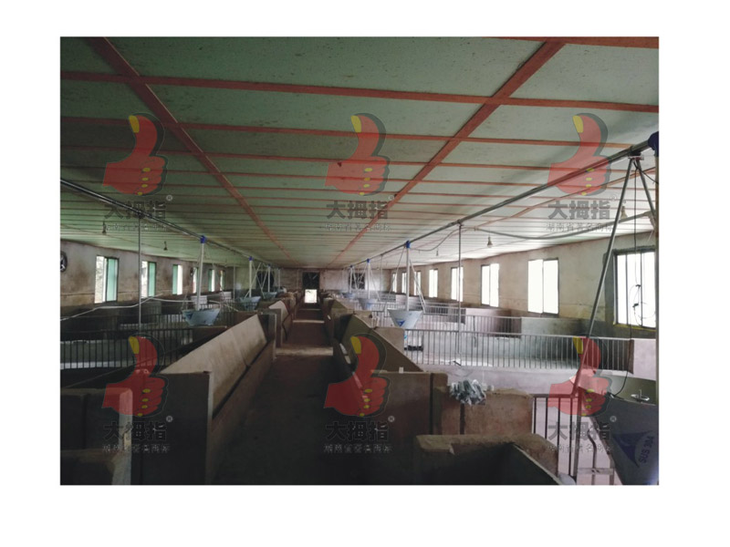 �i���Ԅ��Ͼ��O��